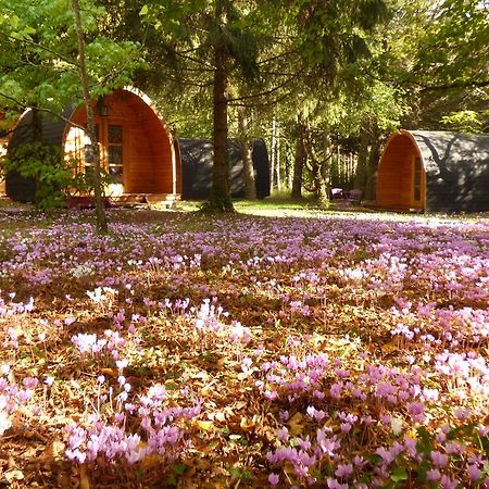 La Rossignolerie - Pod Cabanes Des Chateaux Chouzy-sur-Cisse Екстер'єр фото