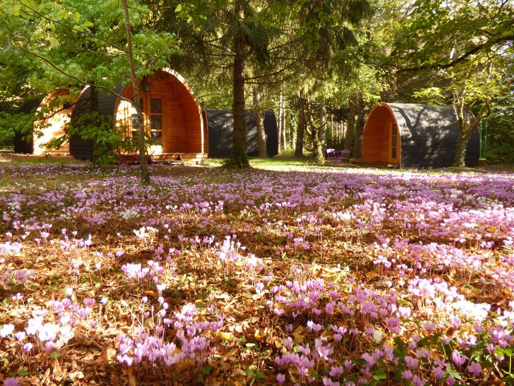 La Rossignolerie - Pod Cabanes Des Chateaux Chouzy-sur-Cisse Екстер'єр фото
