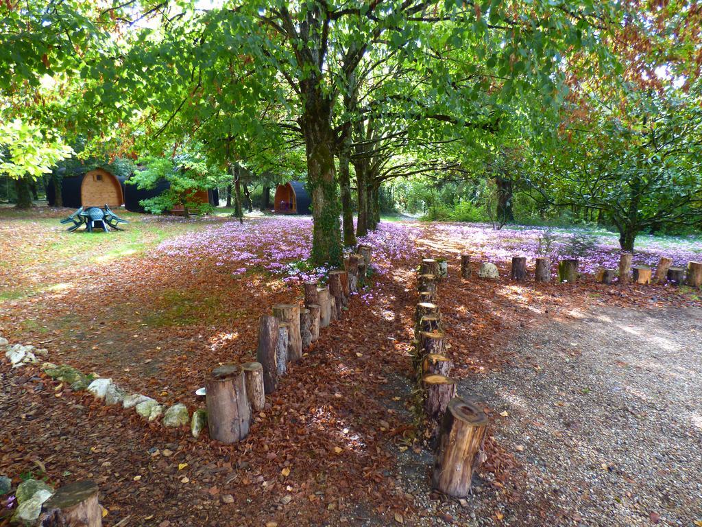 La Rossignolerie - Pod Cabanes Des Chateaux Chouzy-sur-Cisse Екстер'єр фото